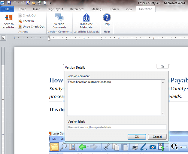 Version Details Window
