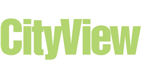CityView Government Solutions