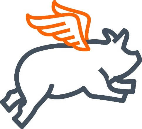 Image of pig with wings.