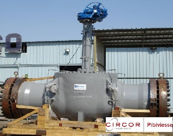 CIRCOR Pibiviesse valve