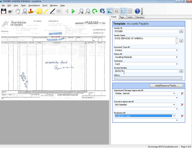Accounts Payable Fields